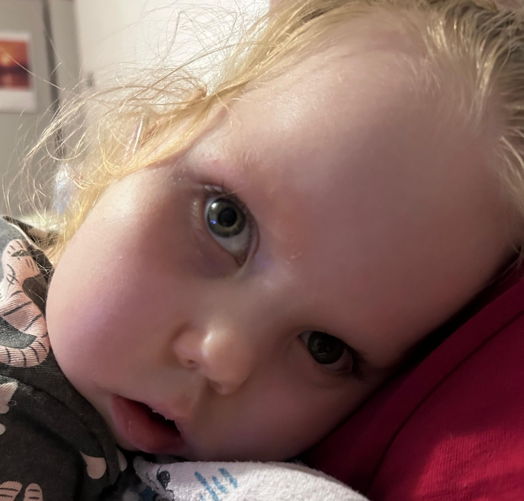 16eb2124-f55c-4e15-9370-a35b1d9a233e kopia.JPG